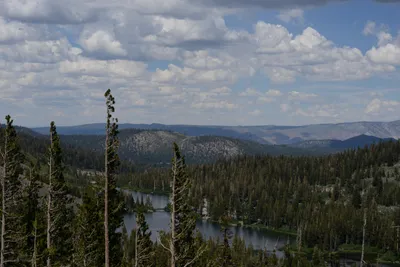 DSC_3204 (Large).JPG